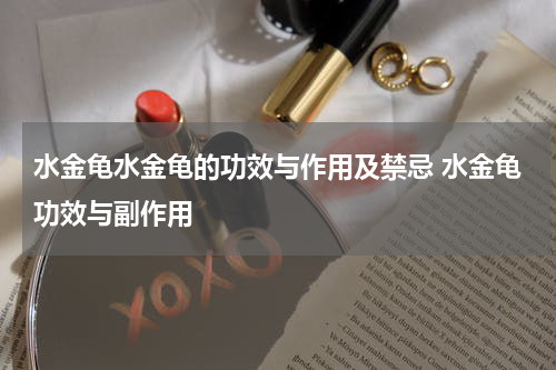 水金龟水金龟的功效与作用及禁忌 水金龟功效与副作用