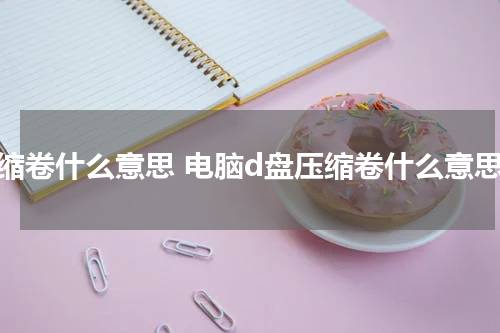 压缩卷什么意思 电脑d盘压缩卷什么意思