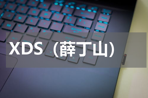 XDS（薛丁山）