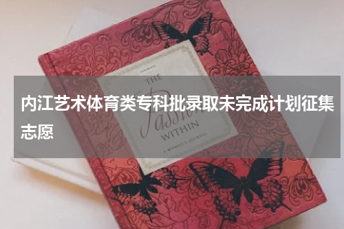 内江艺术体育类专科批录取未完成计划征集志愿