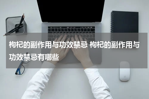 枸杞的副作用与功效禁忌 枸杞的副作用与功效禁忌有哪些