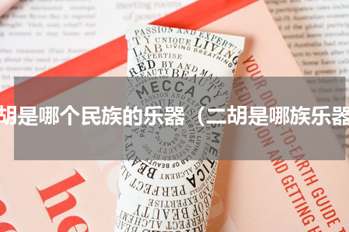 四胡是哪个民族的乐器（二胡是哪族乐器）