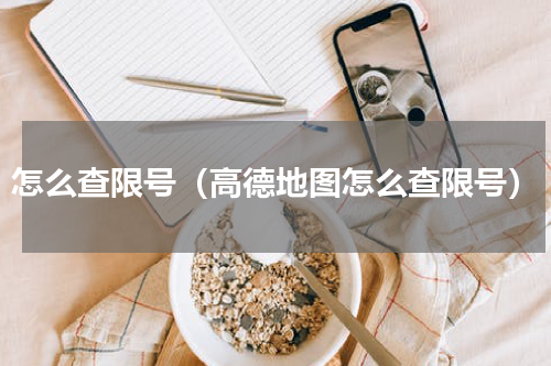 怎么查限号（高德地图怎么查限号）