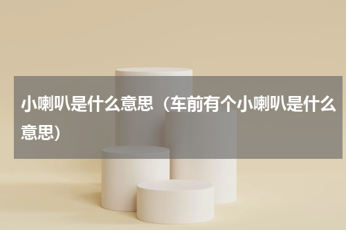 小喇叭是什么意思（车前有个小喇叭是什么意思）