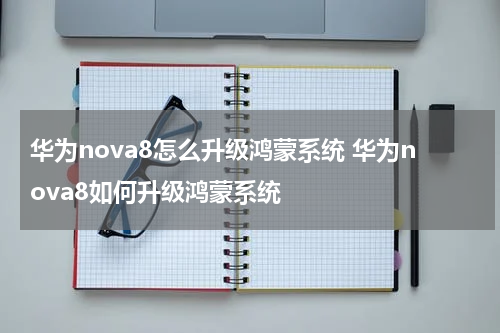 华为nova8怎么升级鸿蒙系统 华为nova8如何升级鸿蒙系统