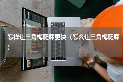 怎样让三角梅爬藤更快（怎么让三角梅爬藤）