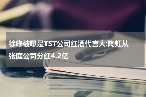 徐峥被曝是TST公司红酒代言人:陶虹从张庭公司分红4.2亿