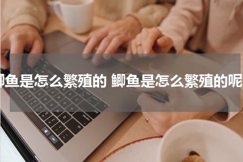 鲫鱼是怎么繁殖的 鲫鱼是怎么繁殖的呢