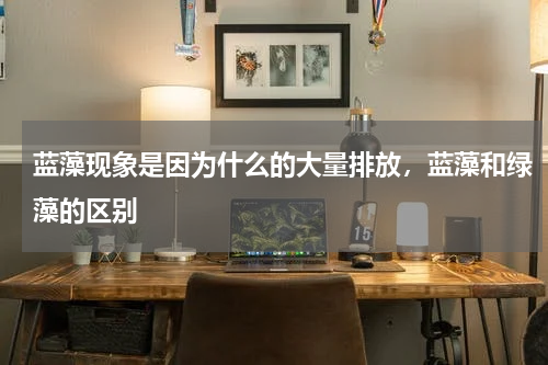 蓝藻现象是因为什么的大量排放，蓝藻和绿藻的区别