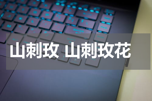 山刺玫 山刺玫花