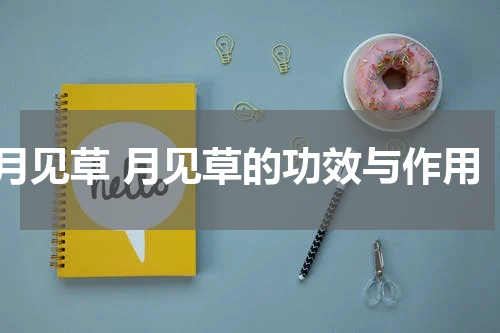 月见草 月见草的功效与作用