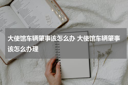 大使馆车辆肇事该怎么办 大使馆车辆肇事该怎么办理