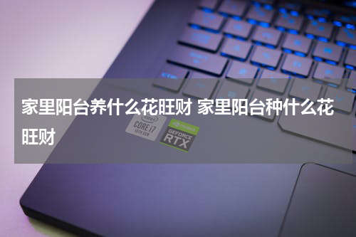 家里阳台养什么花旺财 家里阳台种什么花旺财
