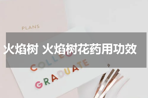 火焰树 火焰树花药用功效