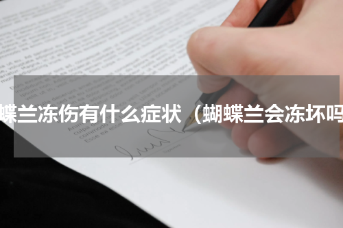 蝴蝶兰冻伤有什么症状（蝴蝶兰会冻坏吗）