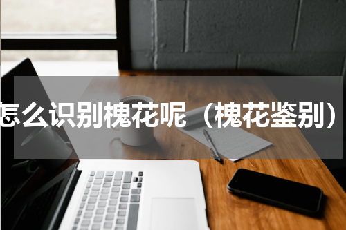 怎么识别槐花呢（槐花鉴别）