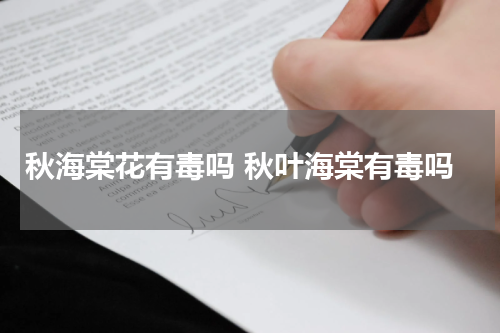 秋海棠花有毒吗 秋叶海棠有毒吗