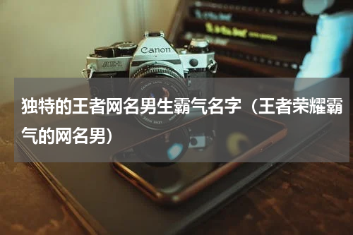 独特的王者网名男生霸气名字（王者荣耀霸气的网名男）