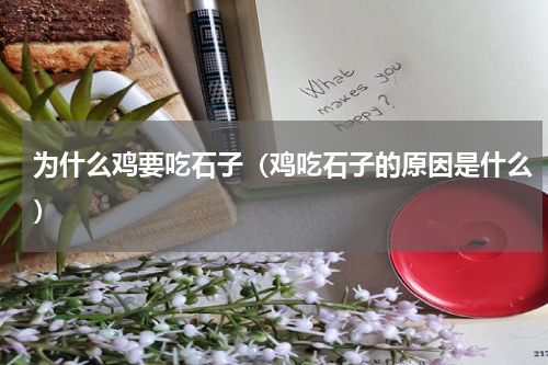 为什么鸡要吃石子（鸡吃石子的原因是什么）