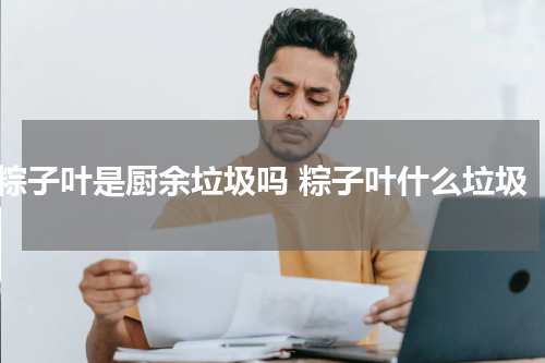 粽子叶是厨余垃圾吗 粽子叶什么垃圾