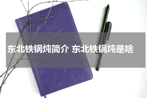 东北铁锅炖简介 东北铁锅炖是啥