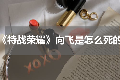 《特战荣耀》向飞是怎么死的