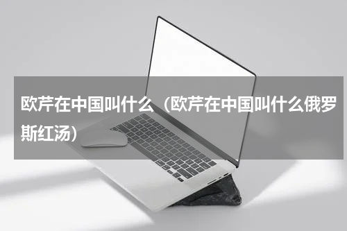 欧芹在中国叫什么（欧芹在中国叫什么俄罗斯红汤）