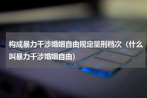 构成暴力干涉婚姻自由规定量刑档次（什么叫暴力干涉婚姻自由）