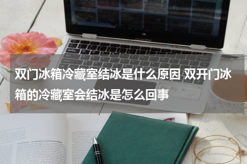 双门冰箱冷藏室结冰是什么原因 双开门冰箱的冷藏室会结冰是怎么回事