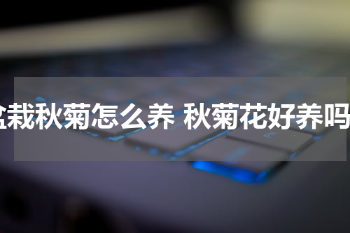 盆栽秋菊怎么养 秋菊花好养吗