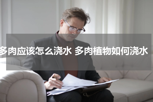多肉应该怎么浇水 多肉植物如何浇水