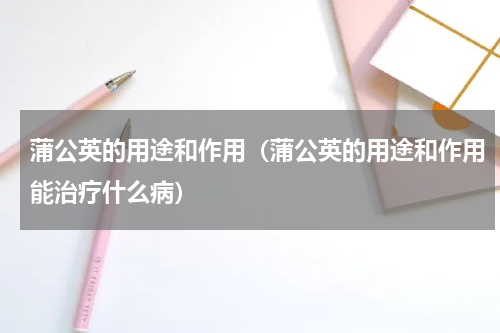 蒲公英的用途和作用（蒲公英的用途和作用能治疗什么病）