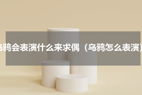 乌鸦会表演什么来求偶（乌鸦怎么表演）