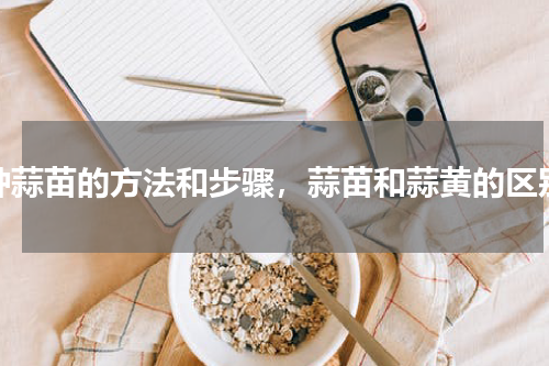 种蒜苗的方法和步骤，蒜苗和蒜黄的区别