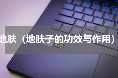 地肤（地肤子的功效与作用）