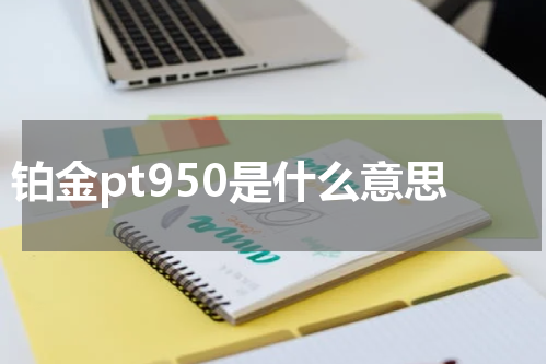 铂金pt950是什么意思