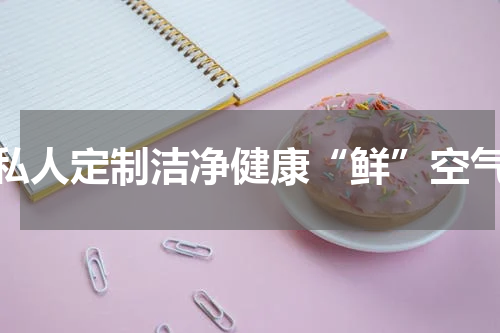 私人定制洁净健康“鲜”空气