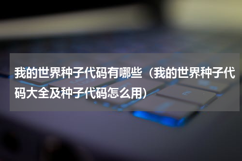 我的世界种子代码有哪些（我的世界种子代码大全及种子代码怎么用）