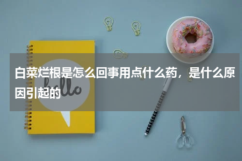 白菜烂根是怎么回事用点什么药，是什么原因引起的