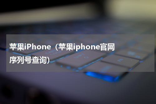 苹果iPhone（苹果iphone官网序列号查询）