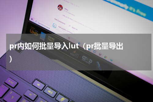 pr内如何批量导入lut（pr批量导出）