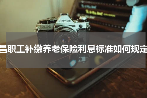 许昌职工补缴养老保险利息标准如何规定？