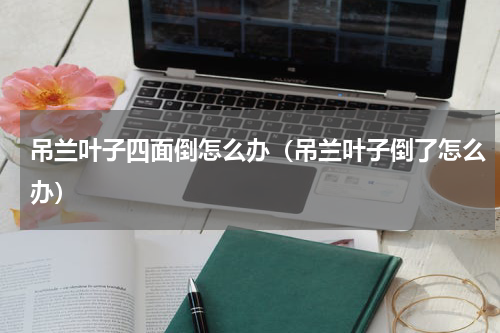 吊兰叶子四面倒怎么办（吊兰叶子倒了怎么办）