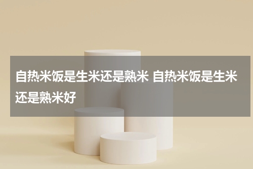 自热米饭是生米还是熟米 自热米饭是生米还是熟米好