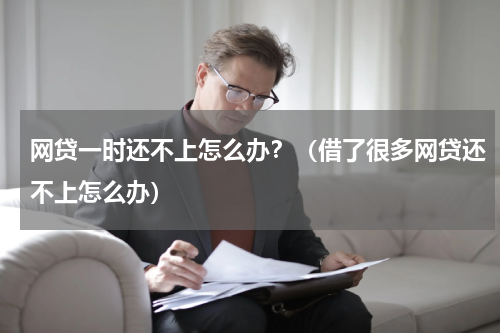 网贷一时还不上怎么办？（借了很多网贷还不上怎么办）