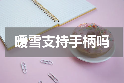 暖雪支持手柄吗