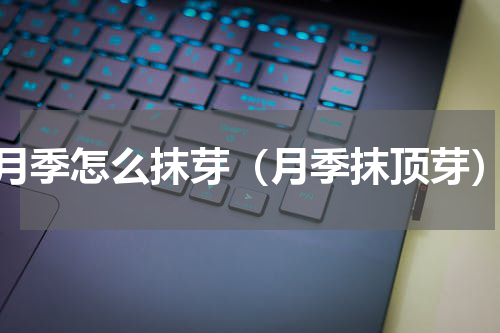 月季怎么抹芽（月季抹顶芽）