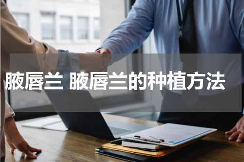 腋唇兰 腋唇兰的种植方法