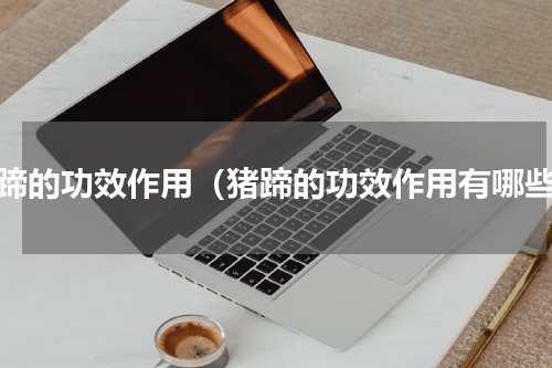 猪蹄的功效作用（猪蹄的功效作用有哪些）