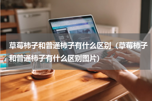 草莓柿子和普通柿子有什么区别（草莓柿子和普通柿子有什么区别图片）